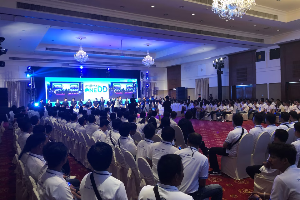 Meeting & Conference