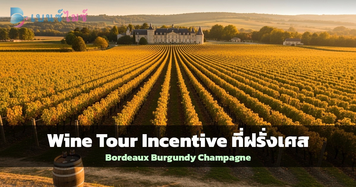 Wine Tour Incentive ที่ฝรั่งเศส: Bordeaux, Burgundy…