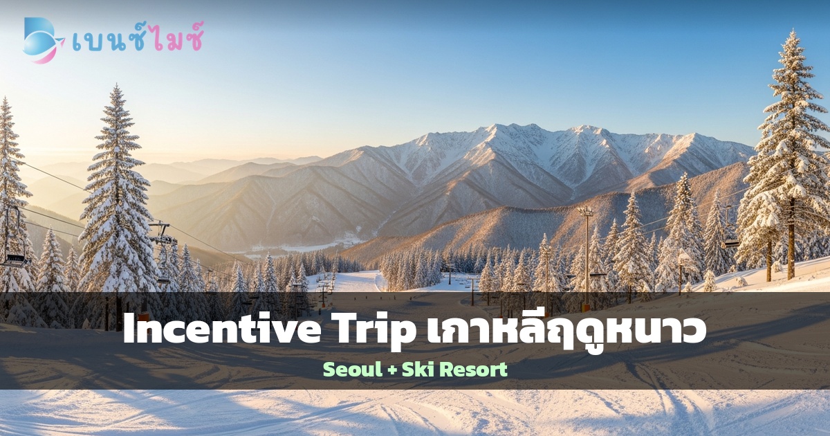 Incentive Trip เกาหลีฤดูหนาว: Seoul City + Ski Resort…
