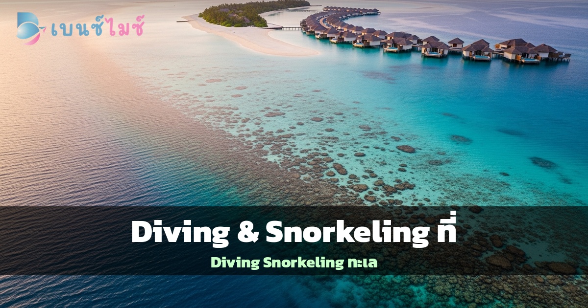 Diving & Snorkeling ที่ Maldives: กิจกรรมทางทะเลสำหรับ…