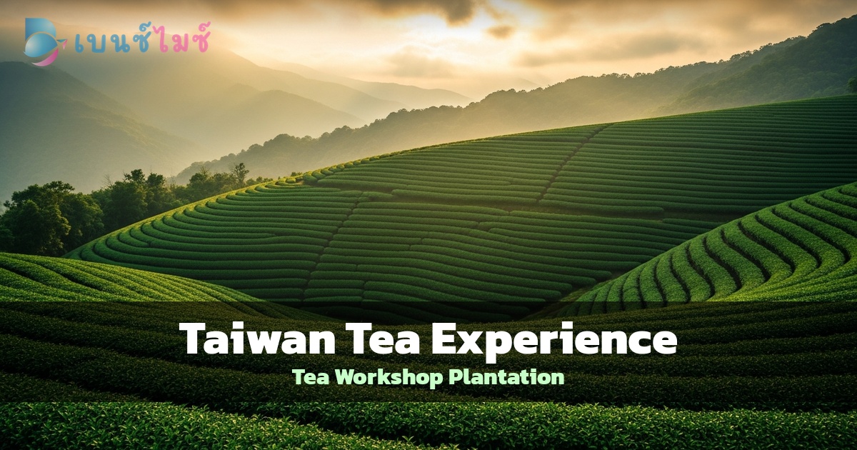 Taiwan Tea Experience: ชงชา Workshop และ Tea Plantation…