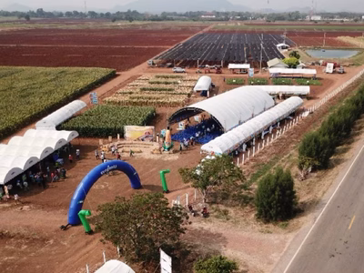 ภาพมุมสูงแสดงพื้นที่จัดงาน Corn Fair ทั้งหมด ซึ่งเป็นงานอีเว้นท์กลางแจ้งที่ตั้งอยู่ข้างไร่ข้าวโพด