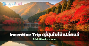 ใบไม้เปลี่ยนสีญี่ปุ่น ต้นเมเปิ้ลแดงริมทะเลสาบสำหรับ Incentive Trip